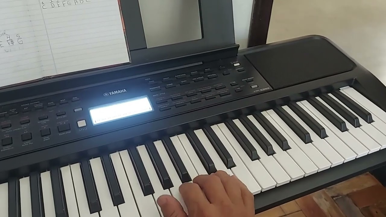 Vocalização 