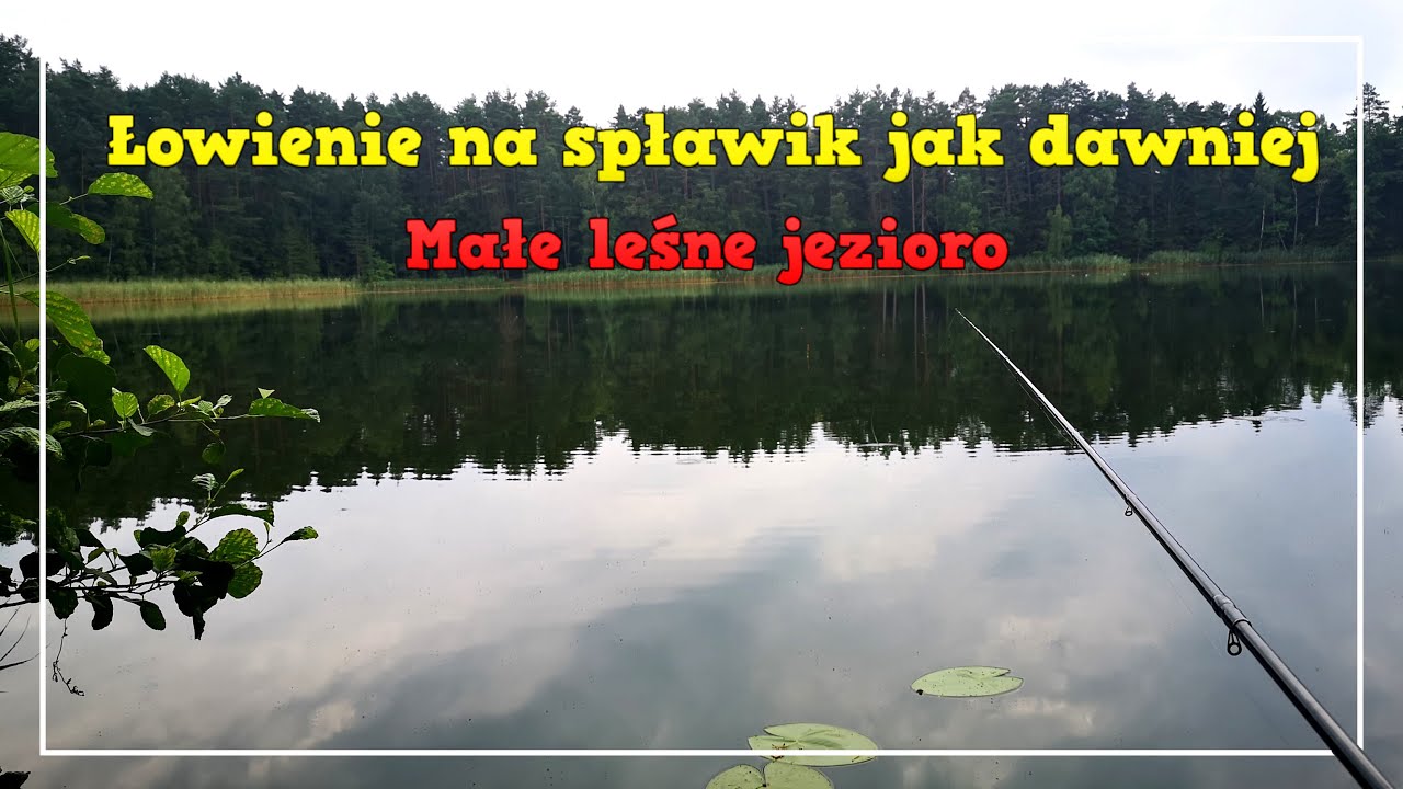 / Łowienie na spławik jak dawniej / Płoć i Wzdręga / Małe leśne jezioro /