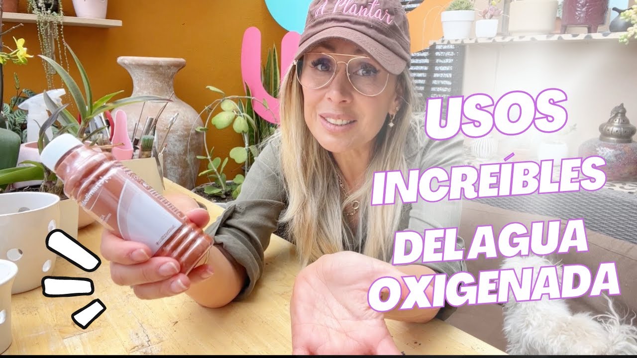 Usos increíbles del agua oxigenada en tus plantas