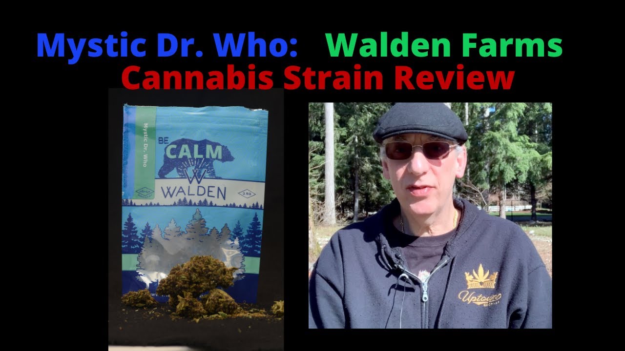 Mystic Doctor Who by Walden Farms Cannabis Strain Review