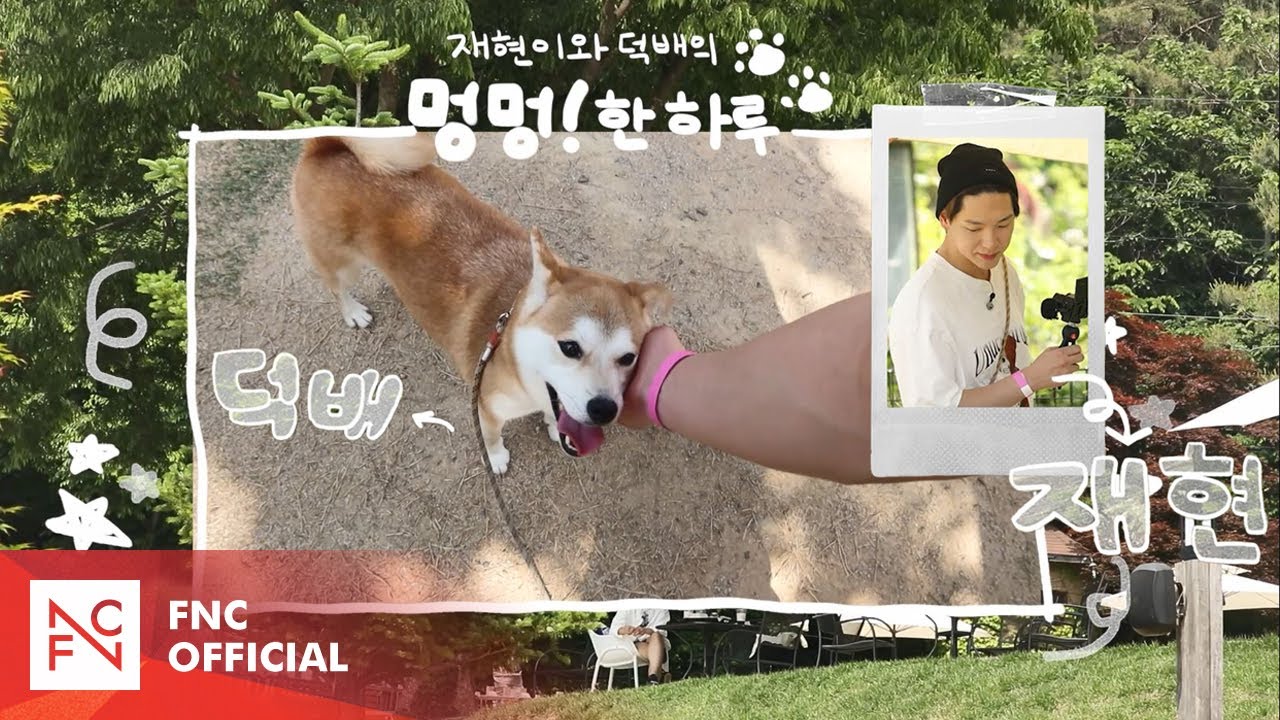 Let's Roll : 재현이와 덕배의 멍멍!한 하루🐾