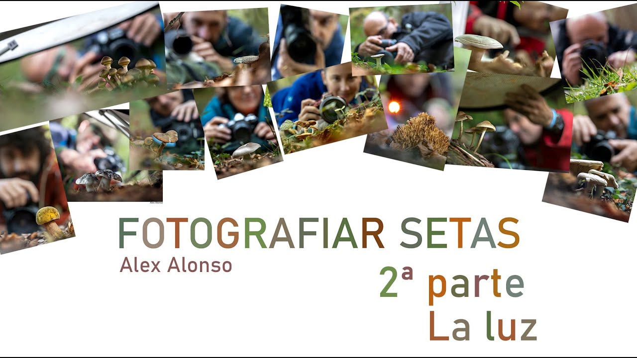 Fotografiar setas 2ªparte