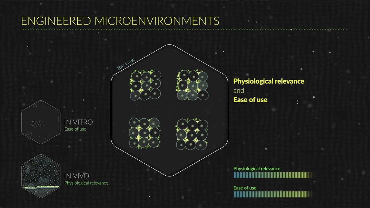 Engineered microenvironments to better study living cells - primo micropatterning