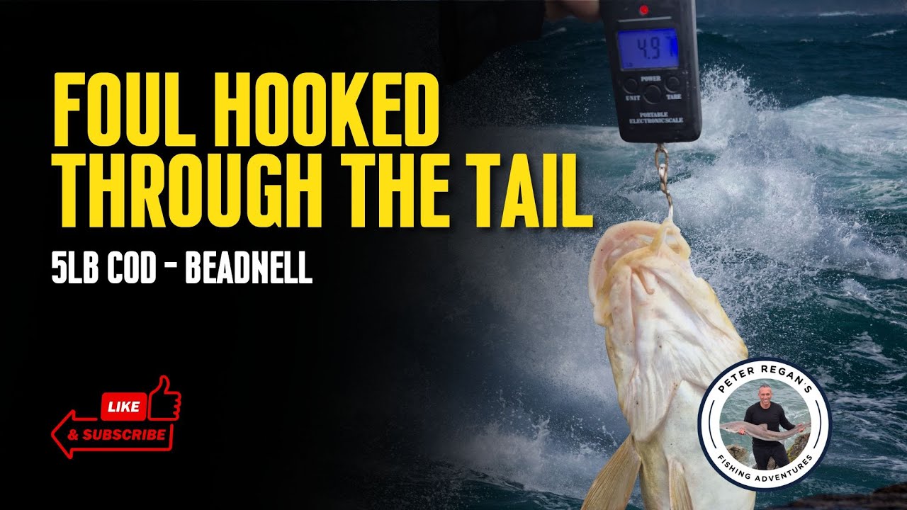 Last Minute Session at Beadnell Point (And A Very Lucky Catch)