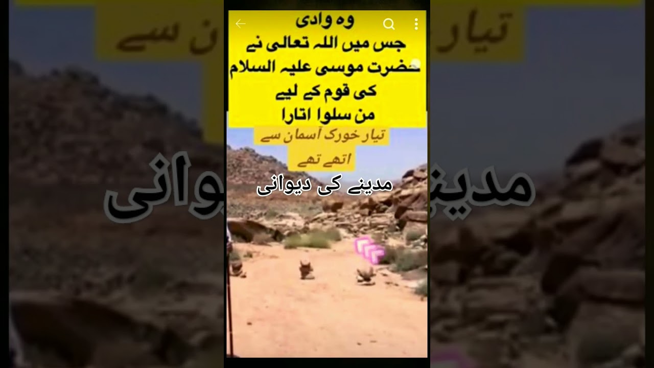 یہ وہ وادی جس میں اللہ تعالی نے حضرت موسی علیہ السلام کی قوم کے لے من سلوا  اتارا