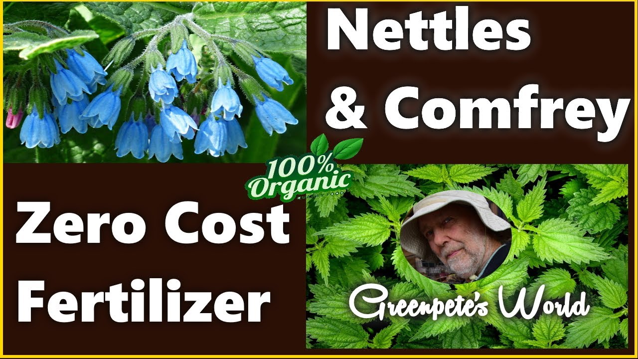How to Make Liquid #Fertilizer from #Comfrey & #Nettles || #StartToFinish
