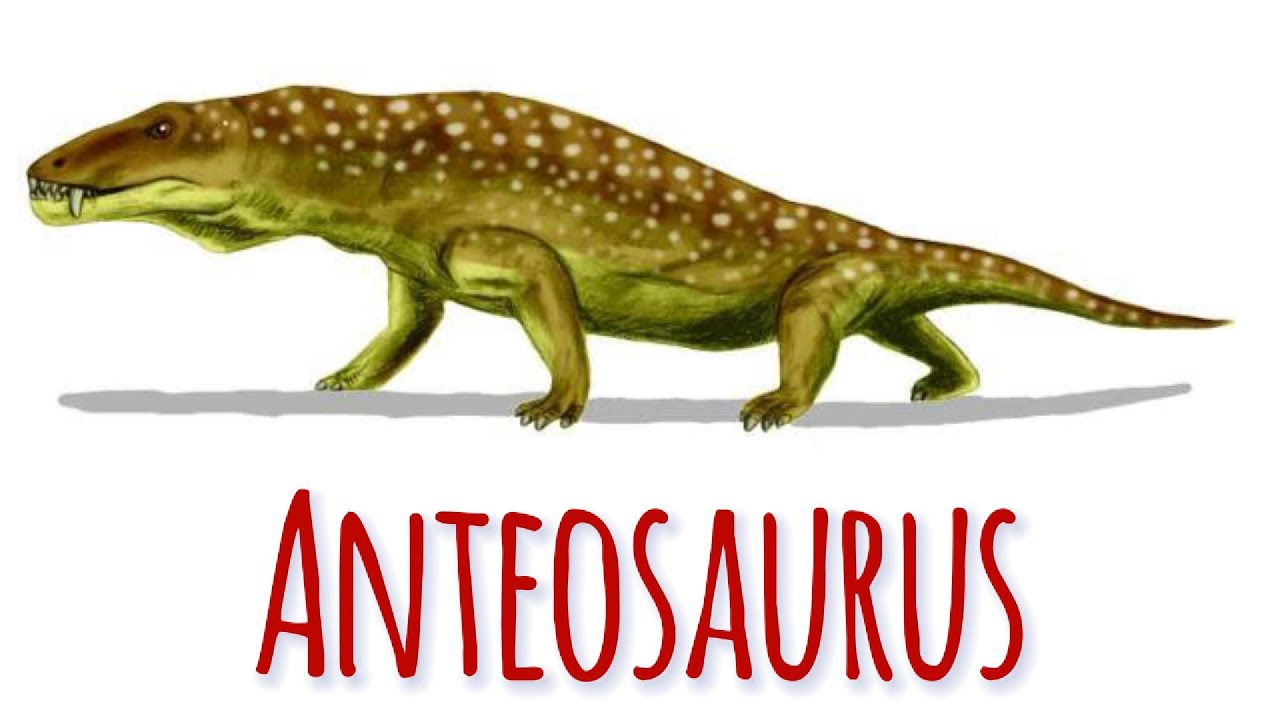 ANTEOSAURUS El Depredador M&aacute;s Feroz Antes del T. Rex Que Pocos Conocen