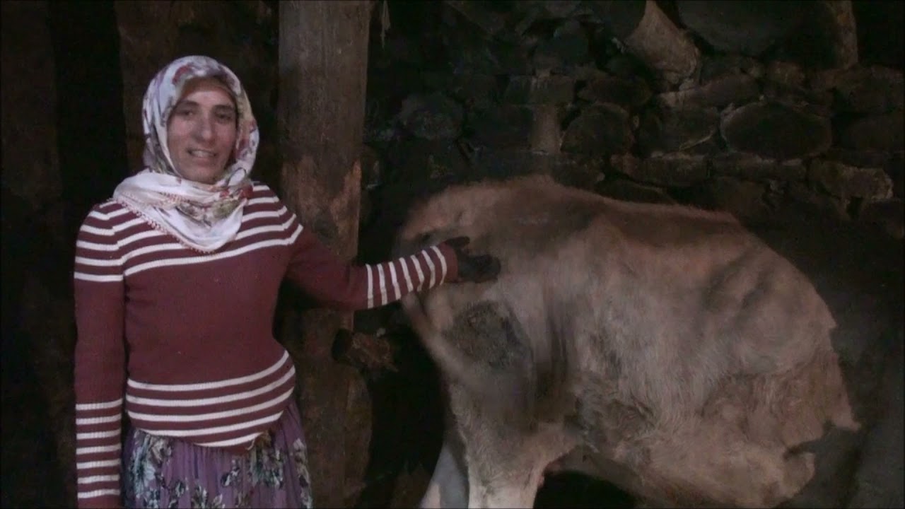 #Ardahan'lı #Çiftçi 