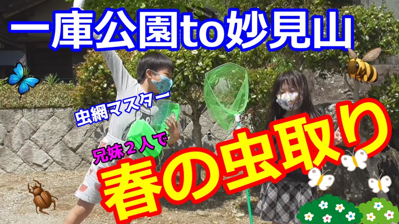 パパンモスと愉快なKIDS★能勢妙見山昆虫採取編★