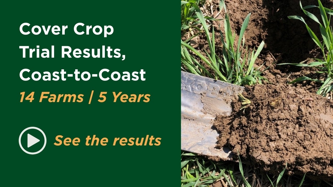What Cover Crop Trials Revealed on 14 Farms - See these results!
