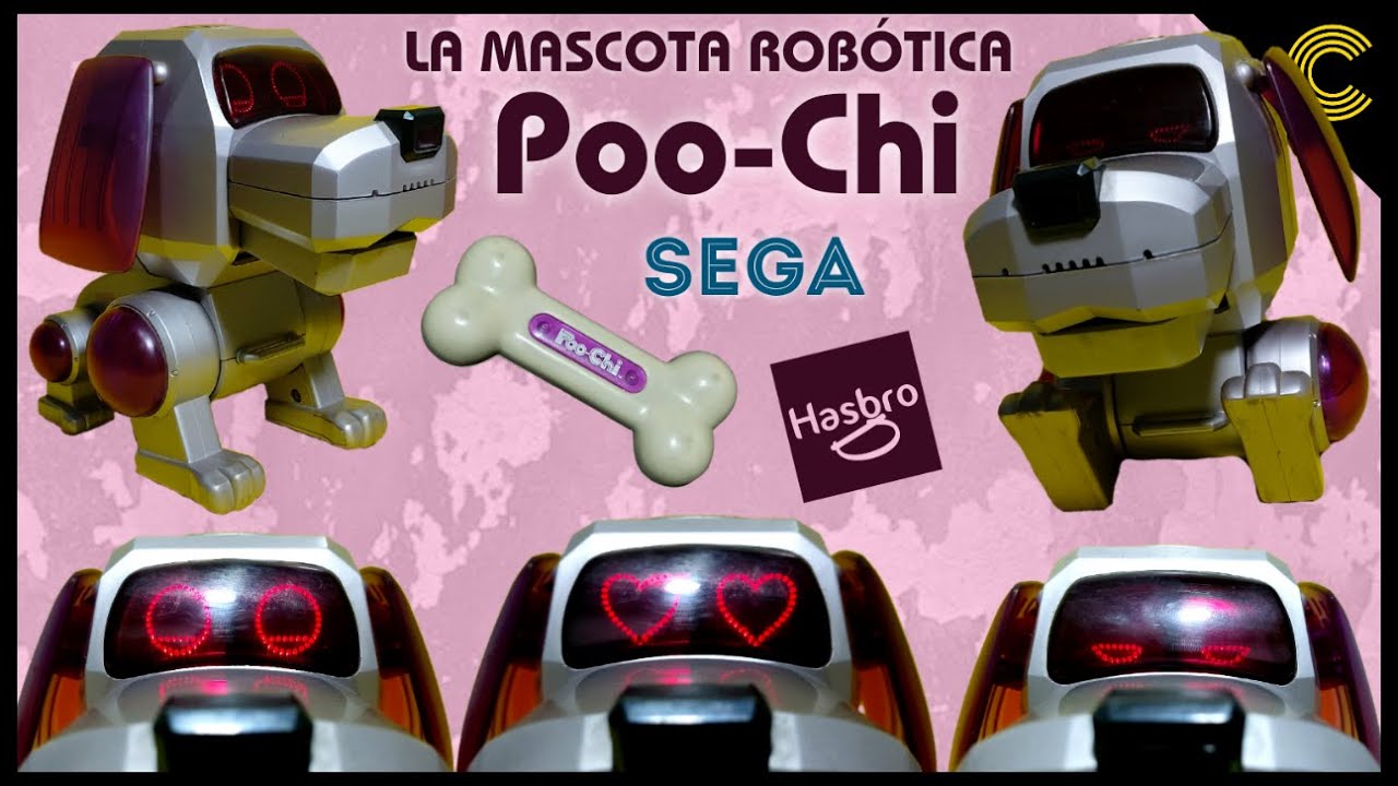 ¡RECUERDO DESBLOQUEADO! 🔓 perro POO-CHI del año 2000 | Hasbro | SEGA | Tiger | Análisis en español