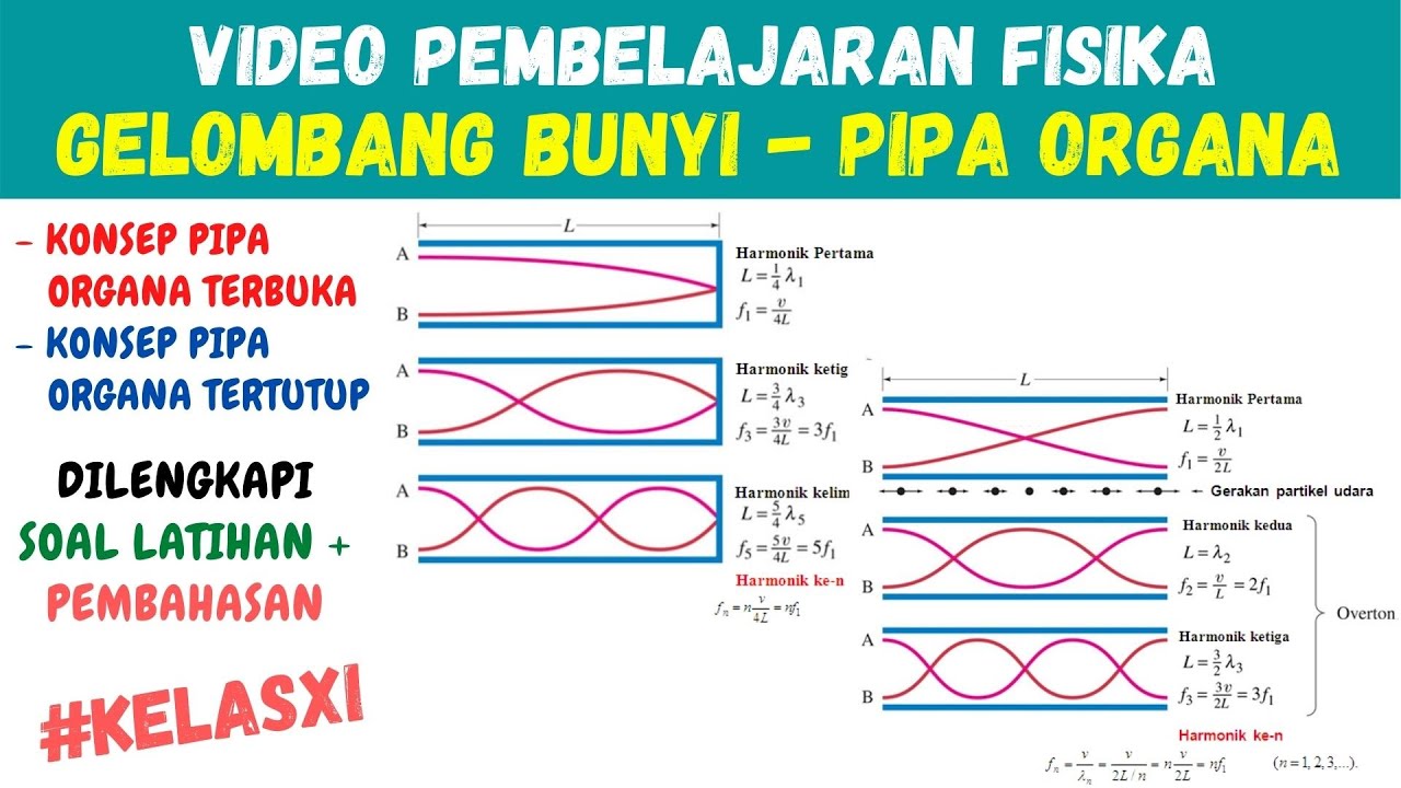 Fisika Kelas 11 - PIPA ORGANA Terbuka dan Tertutup