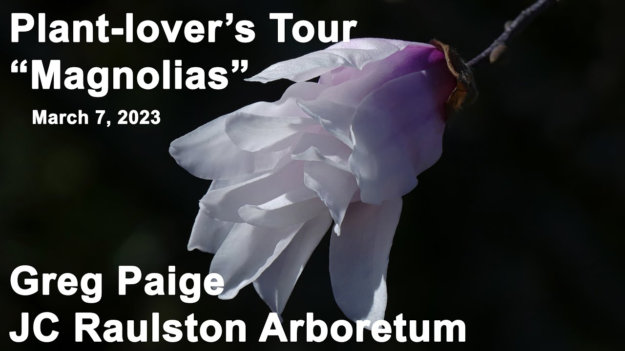 Plant-lover's Tour - 