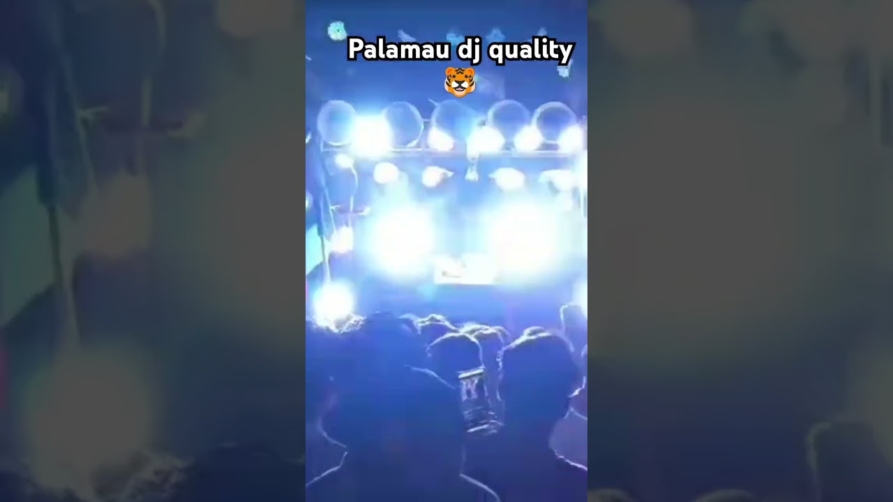 palamau dj quality 🐯💪