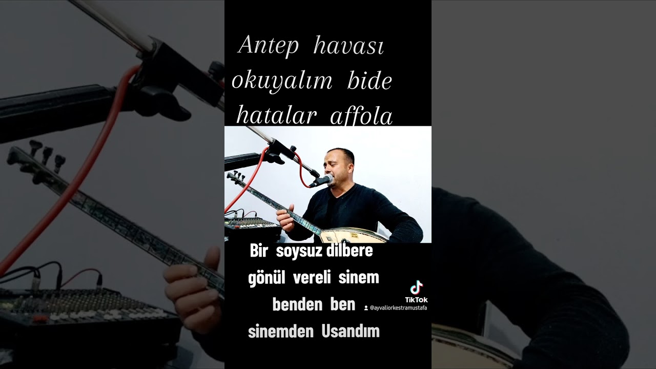 MUSTAFA  AYVALI. bir soysuz dilbere  gönül vereli