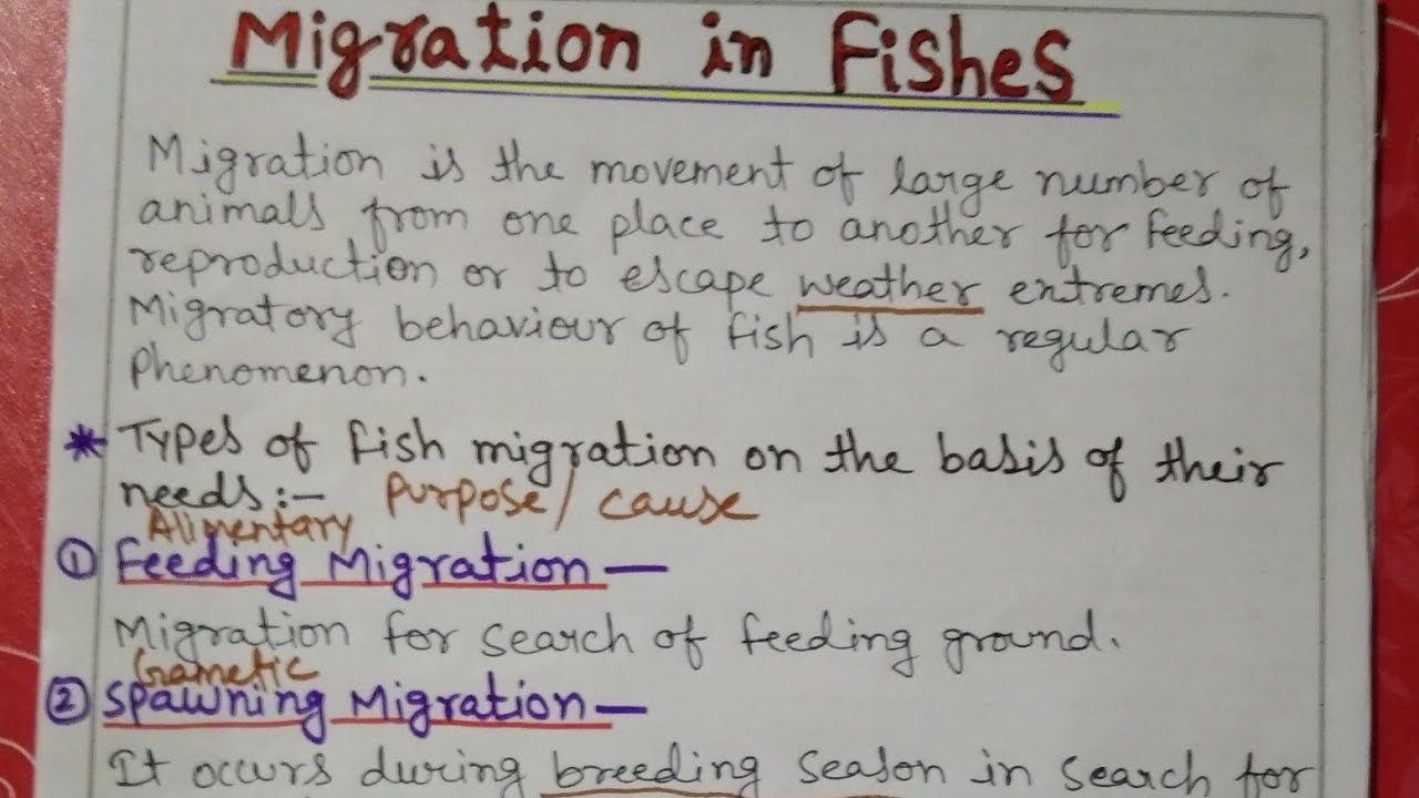 Migration in fishes explain || b.sc || notes