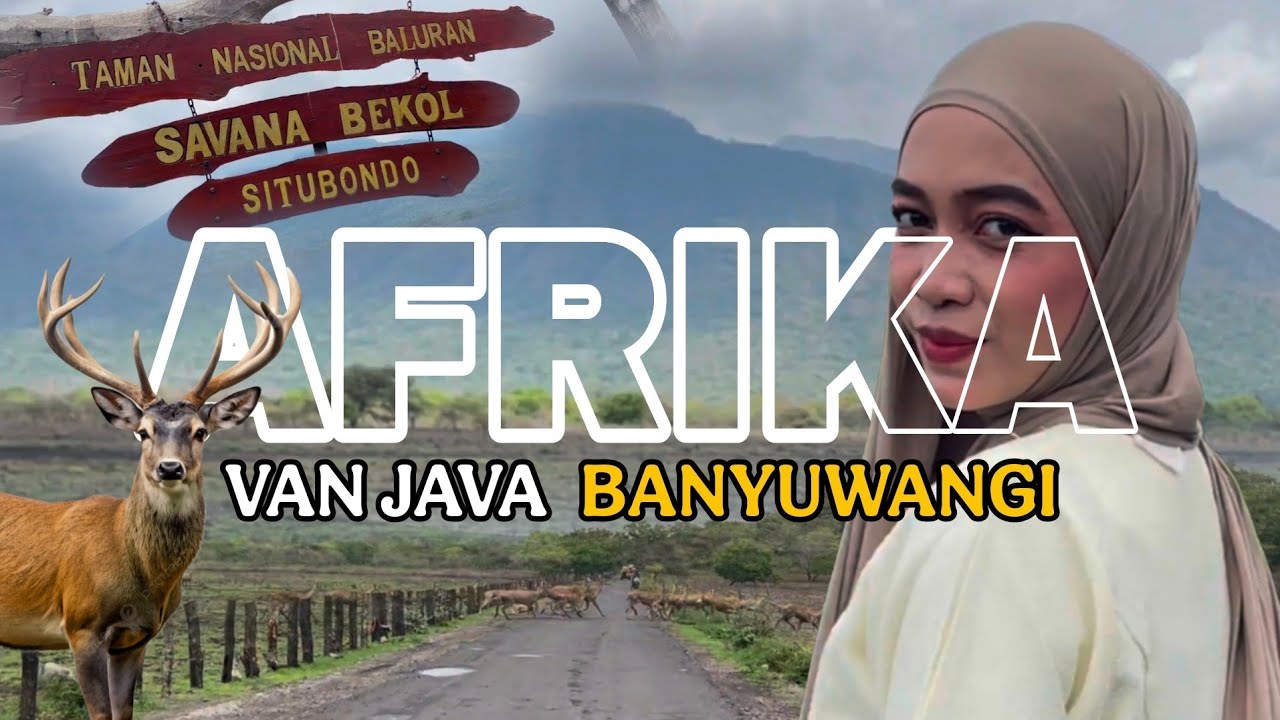 #VLOG 22 - AFRIKA VAN JAVA, BERBAGAI SATWA LIAR DI TAMAN NASIONAL BALURAN
