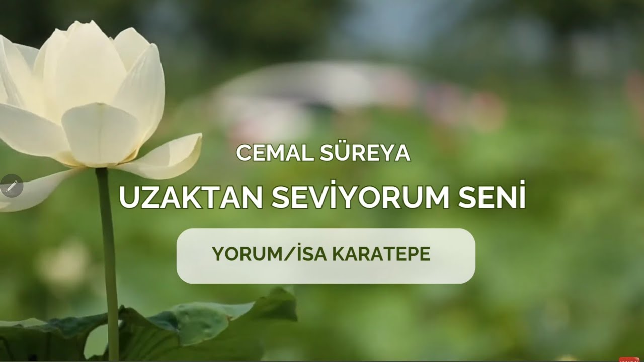 Uzaktan Seviyorum Seni / Cemal Süreya