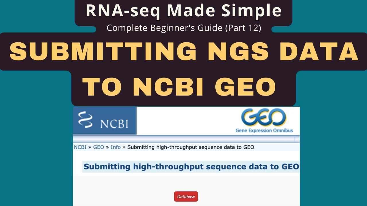 Отправка данных NGS в NCBI GEO: пошаговое руководство для начинающих.