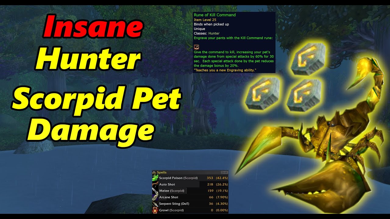 SOMEWHAT NERFED | SoD Hunter |  Scorpid Pet INSANE Damage Guide
