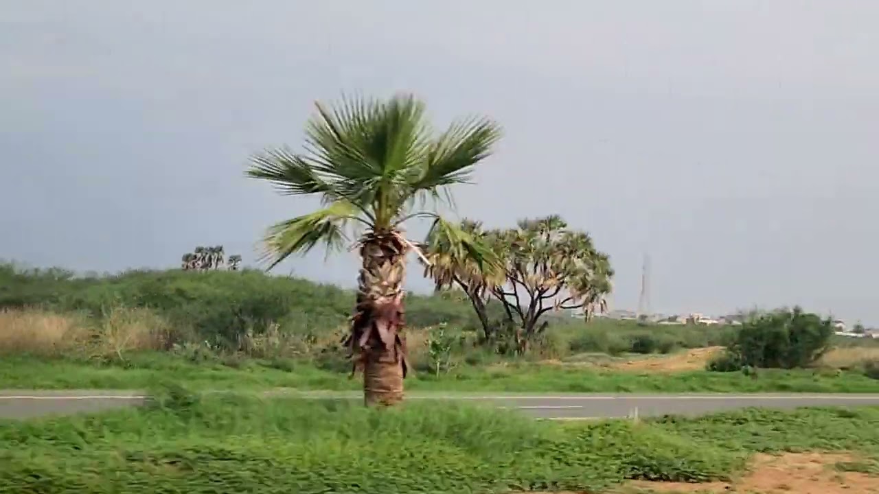 أمطار رجال ألمع وربيع جازان الأربعاء 21 أغسطس 2024 الموافق 1446/2/17