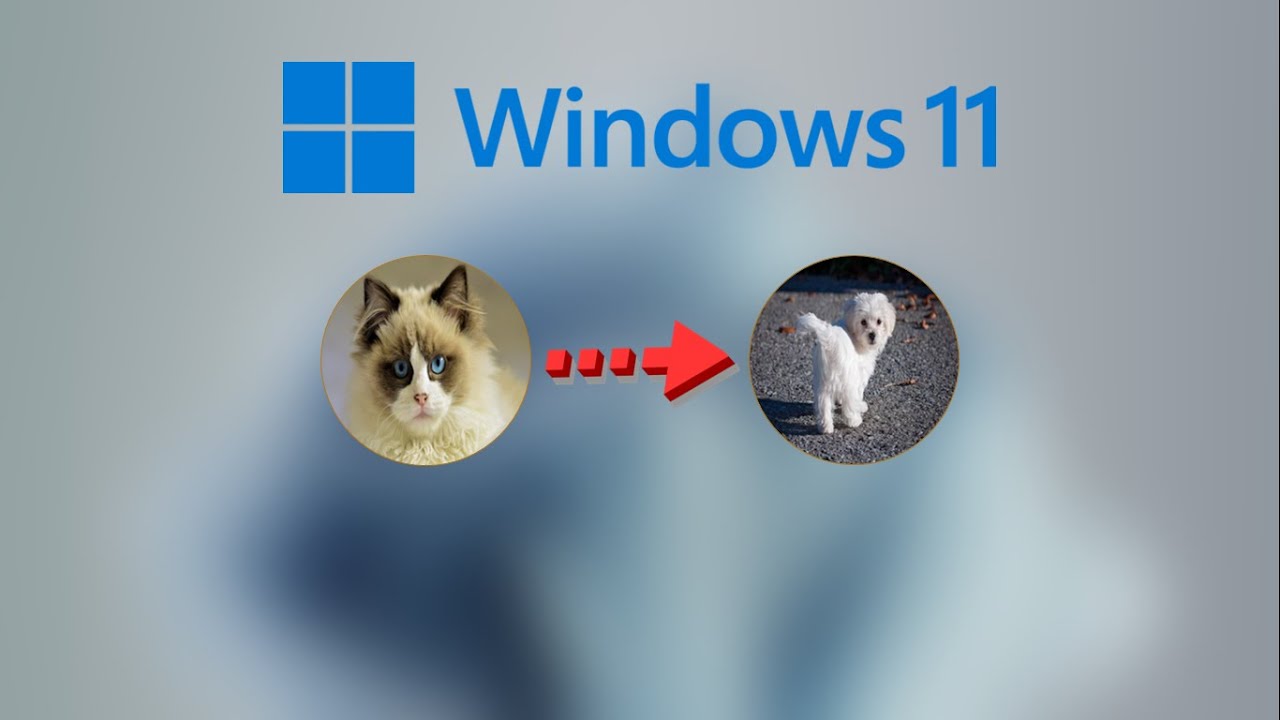 How to Change Account Picture in Windows 11