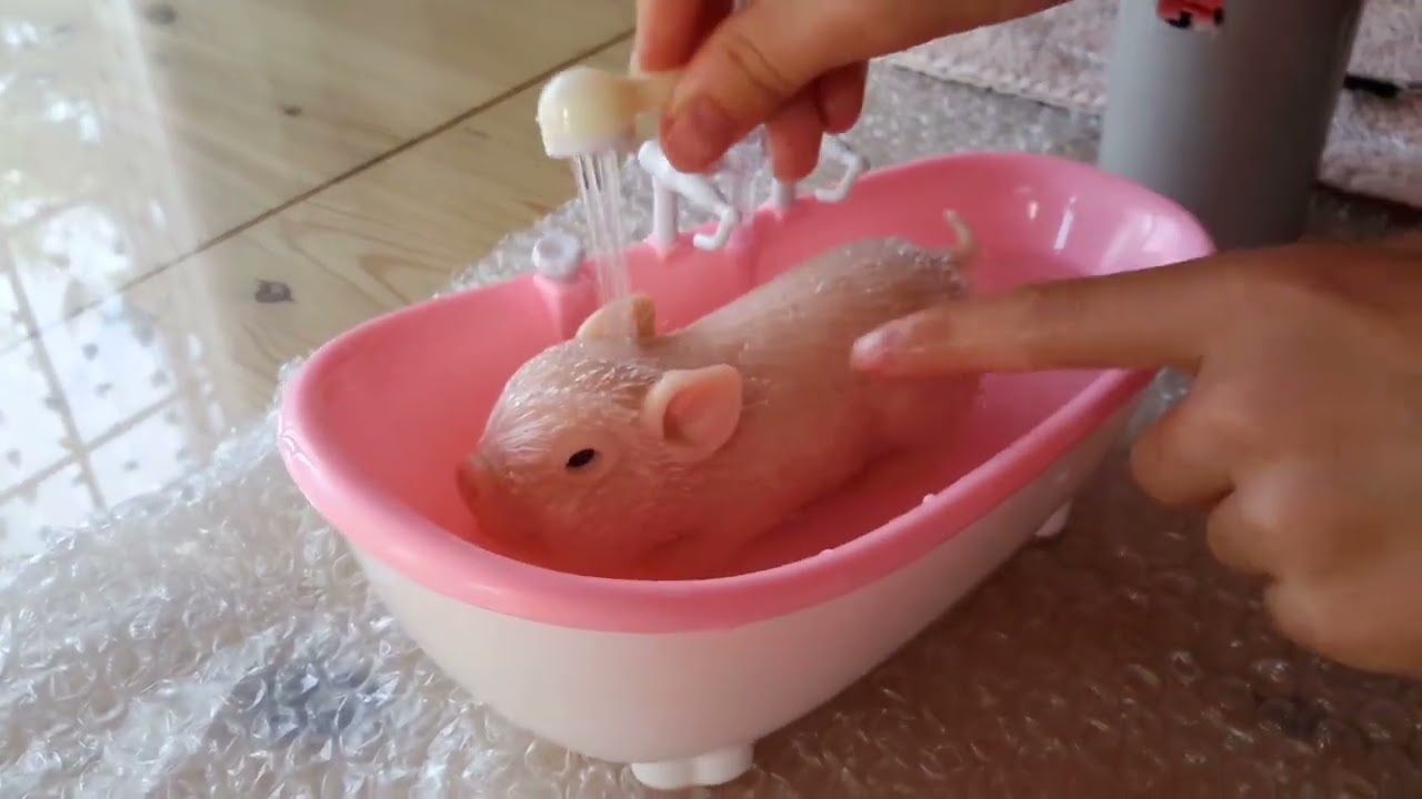 bañando a mi cerdita de silicona en su bañera nueva🐽🐷