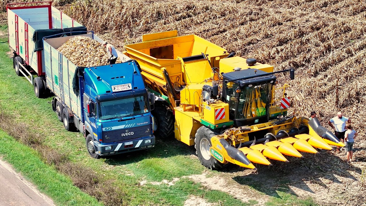 OXBO 8520-6006 | IVECO 420 | Mais da seme 2024