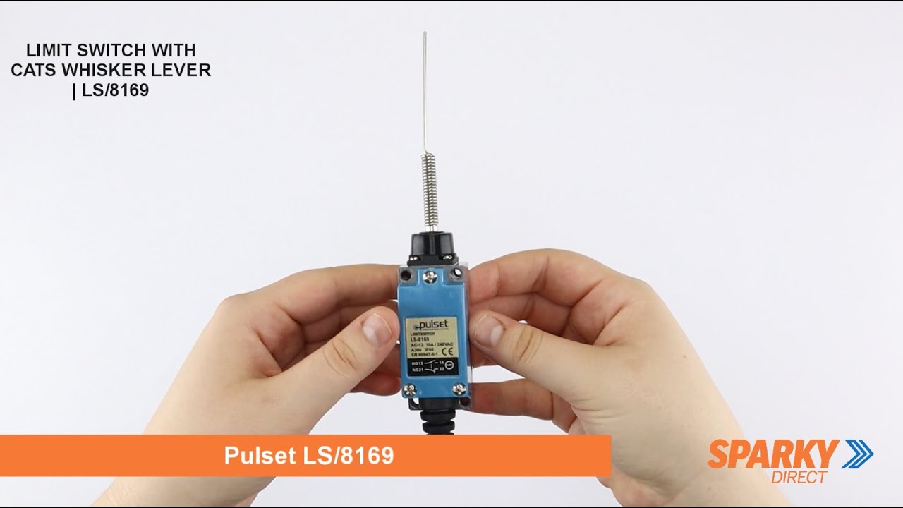Limit Switch With Cats Whisker Lever | LS/8169