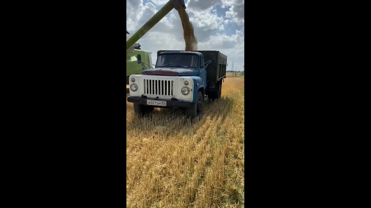 Уборка ячменя 2020. Газ 53 взорвалось колесо?