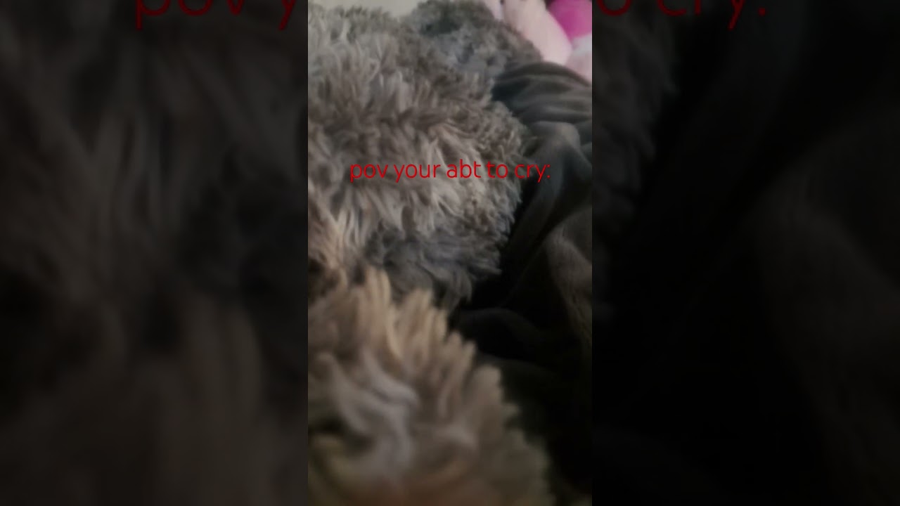 and then you get asked ru ok NO TIMMY I AM NOT OK