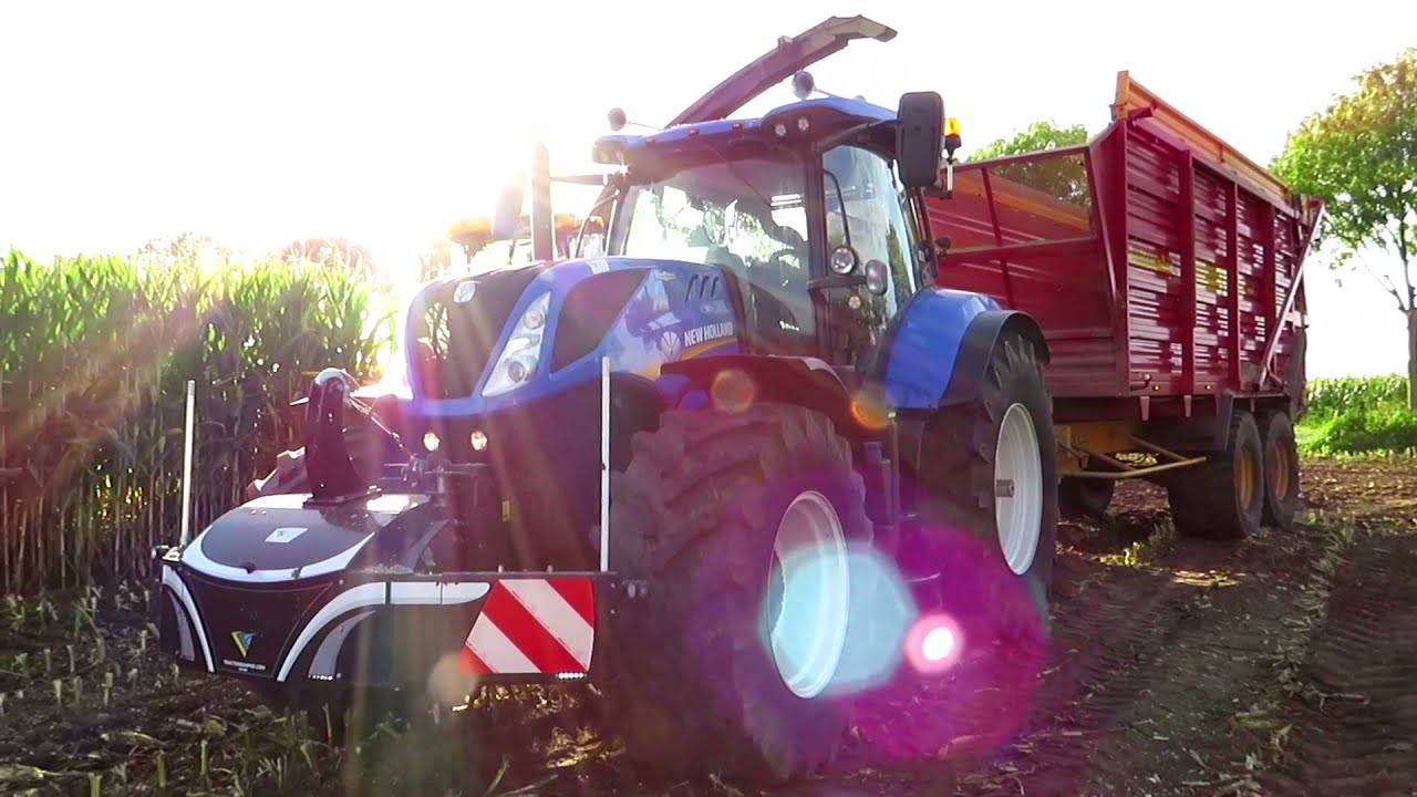 Mais harvest 🌽🦅 (2021) Loonbedrijf Riphagen & ZN (Oene)