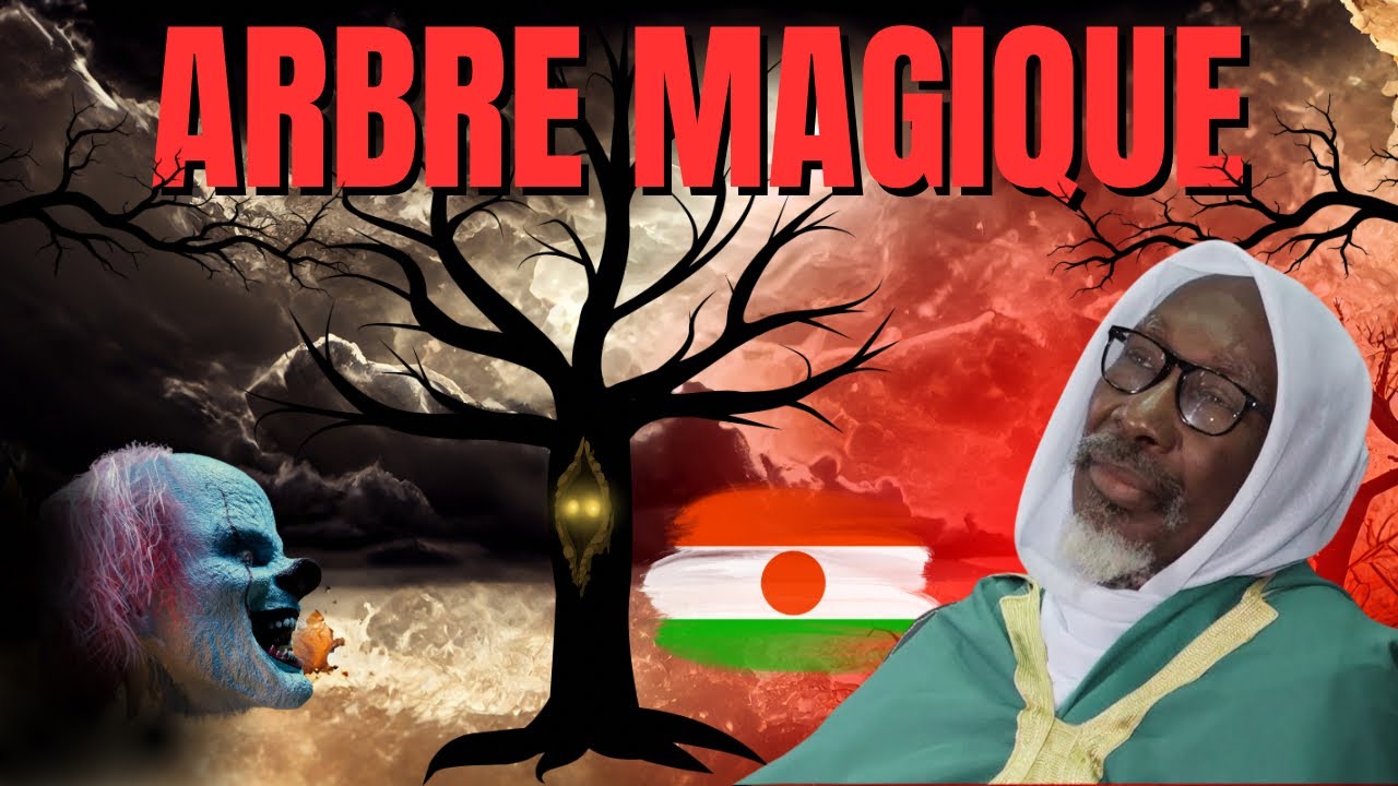 CHEIKH MOUHIDINE SAMBA DIALLO: L’abre miraculeux au NIGER 🇳🇪