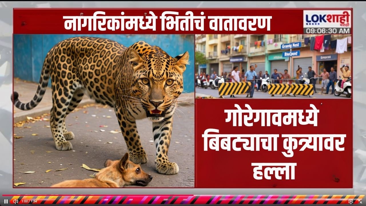 Goregaon East मध्ये Leopard चा वावर; बिबट्याचा कुत्र्यावर हल्ला, नागरिकांमध्ये भीतीचे वातावरण