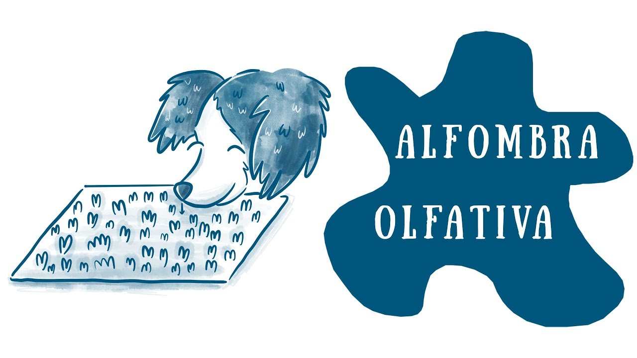 Cómo hacer una ALFOMBRA OLFATIVA para tu perro