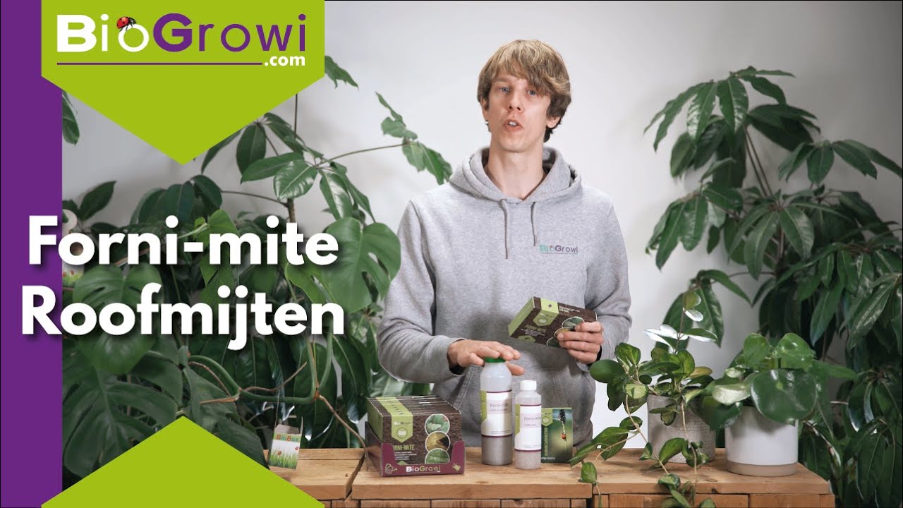 Forni-mite | Roofmijten tegen spint