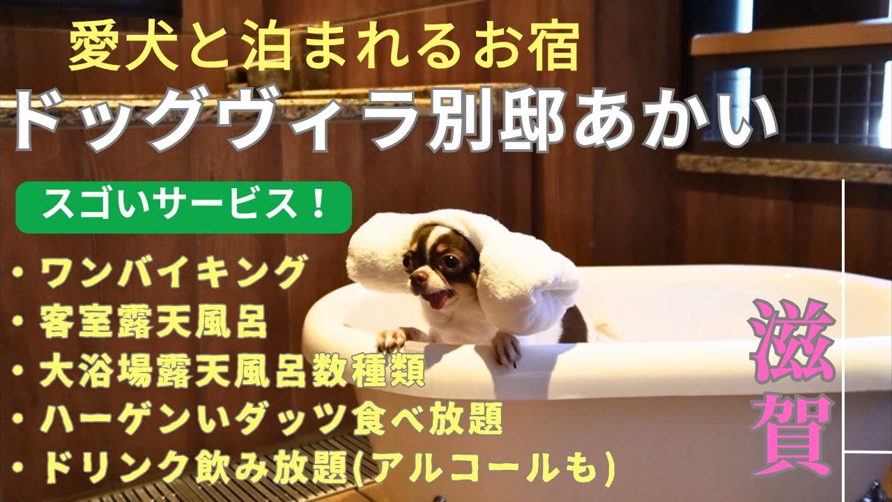 【高級宿・別邸あかい】スゴイ！ホテルの施設・お部屋・ドッグラン・食事・露天風呂全てご紹介【客室露天風呂】