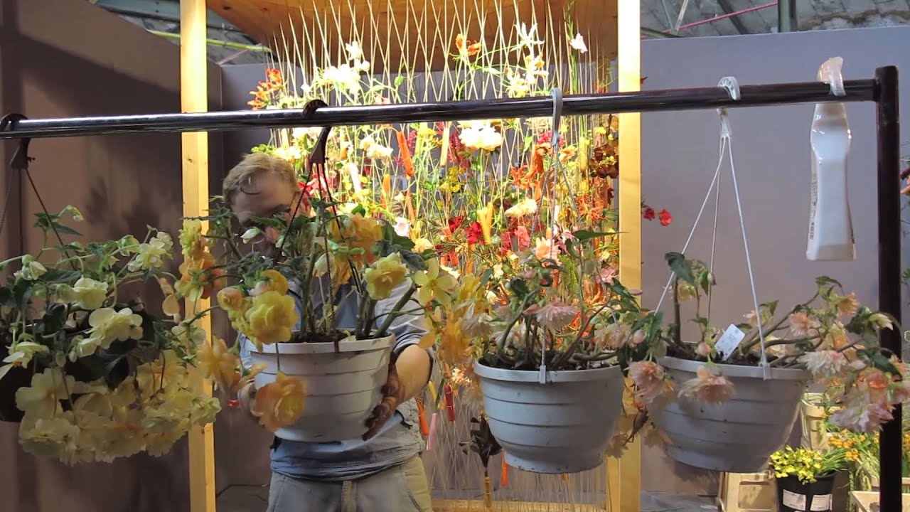 Fleurop-Interflora World Cup 2015 Highlights (theflorist.co.uk)