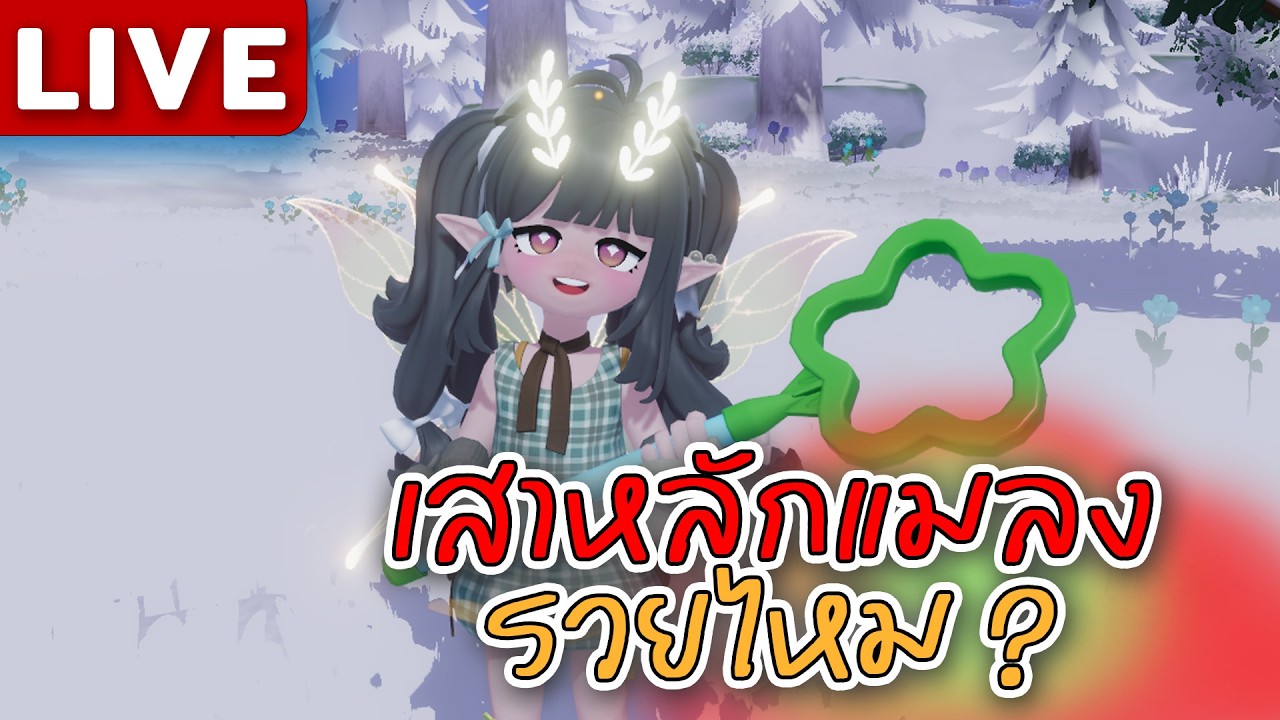 เสาหลักแมลงรวยไหม? จะมีอัพเดทใหญ่?
