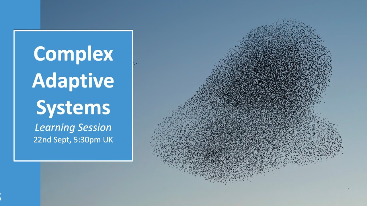 Complex Adaptive Systems - Learning Session
