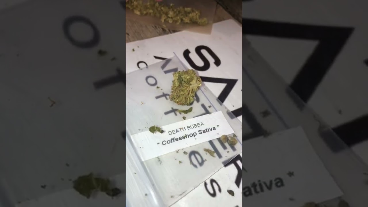 Second coffee shop #420 #coupleblogger #420community #deathbubba #coffeeshop #smokeandchill #2022