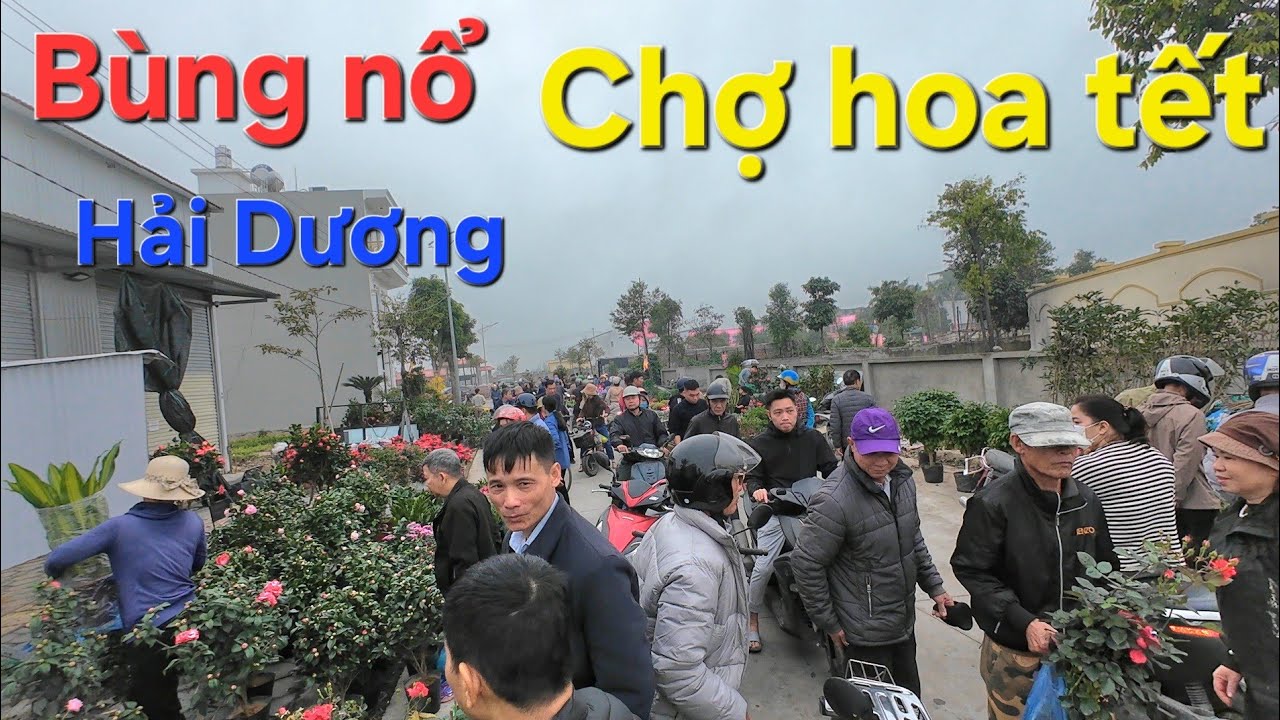Phiên chợ hoa Tết chợ Cuối Hải Dương ngày 26 Tết