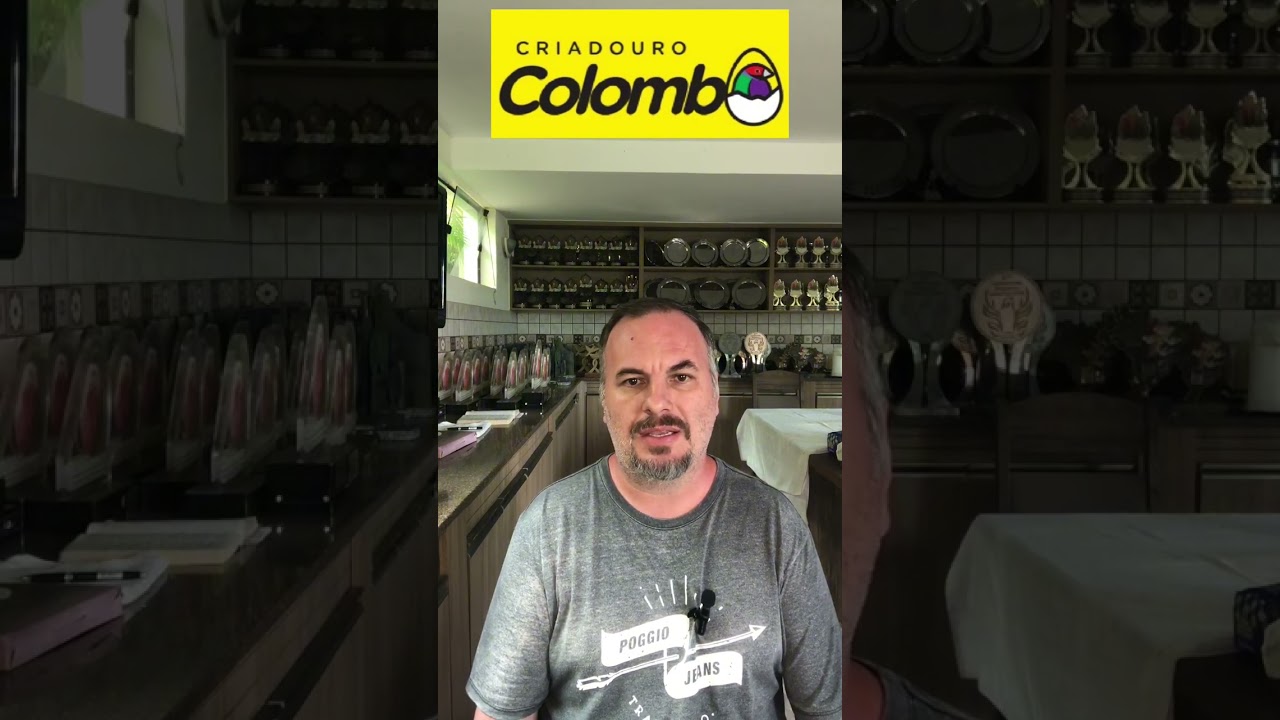 Qual o per&iacute;odo ideal para iniciar a cria&ccedil;&atilde;o de Diamante gould