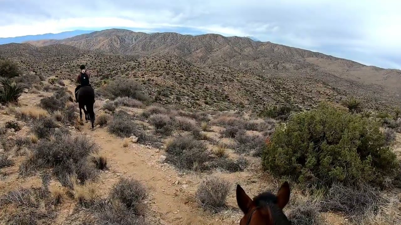 Joshua Tree California Riding and Hiking Trail