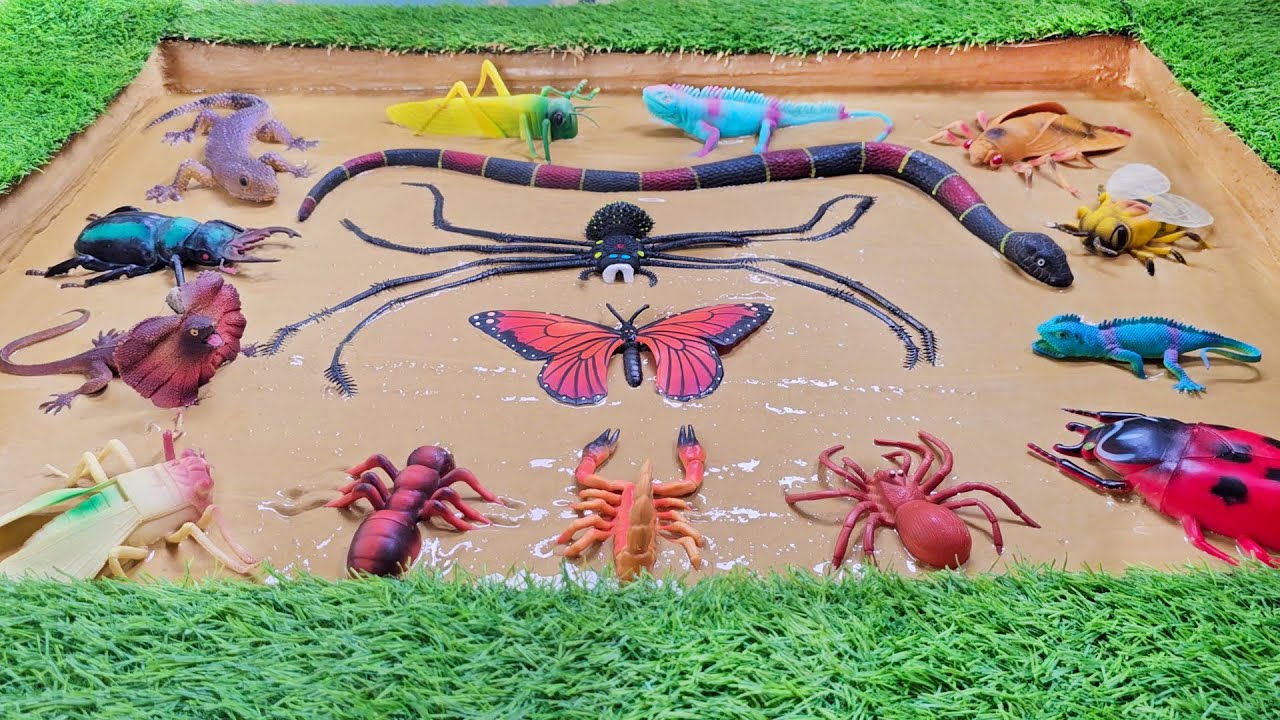 Crawling Cosmos: A Tiny World of Bugs, Beetles and Slithering Friends!