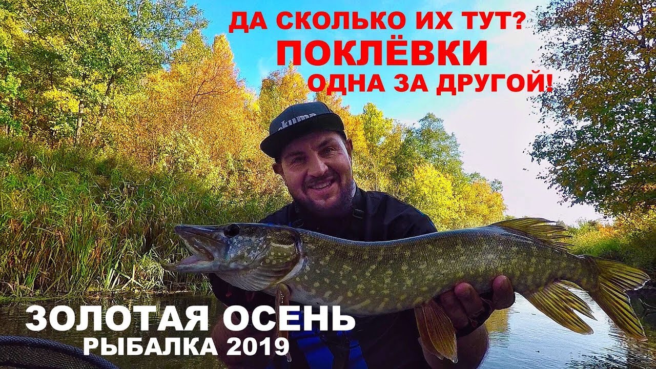 ЛОВЛЯ ЩУКИ ОСЕНЬЮ. Твичинг на Малой Реке. РЕКА ШИКАРНА. Спиннинг. Рыбалка на Воблер.