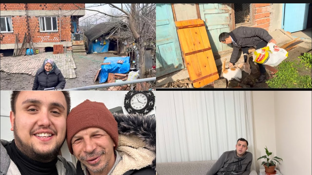 Sonunda evrak işlerimi hallettim,köye gittik,kedilerin son yemi bitti