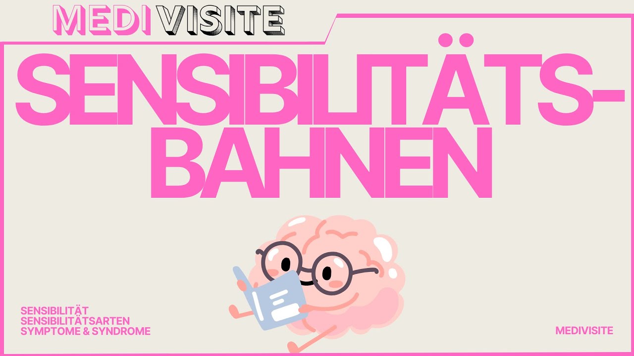 Sensibilität leicht erklärt — Neurologie für Medizinstudenten (7 Min Crashkurs)