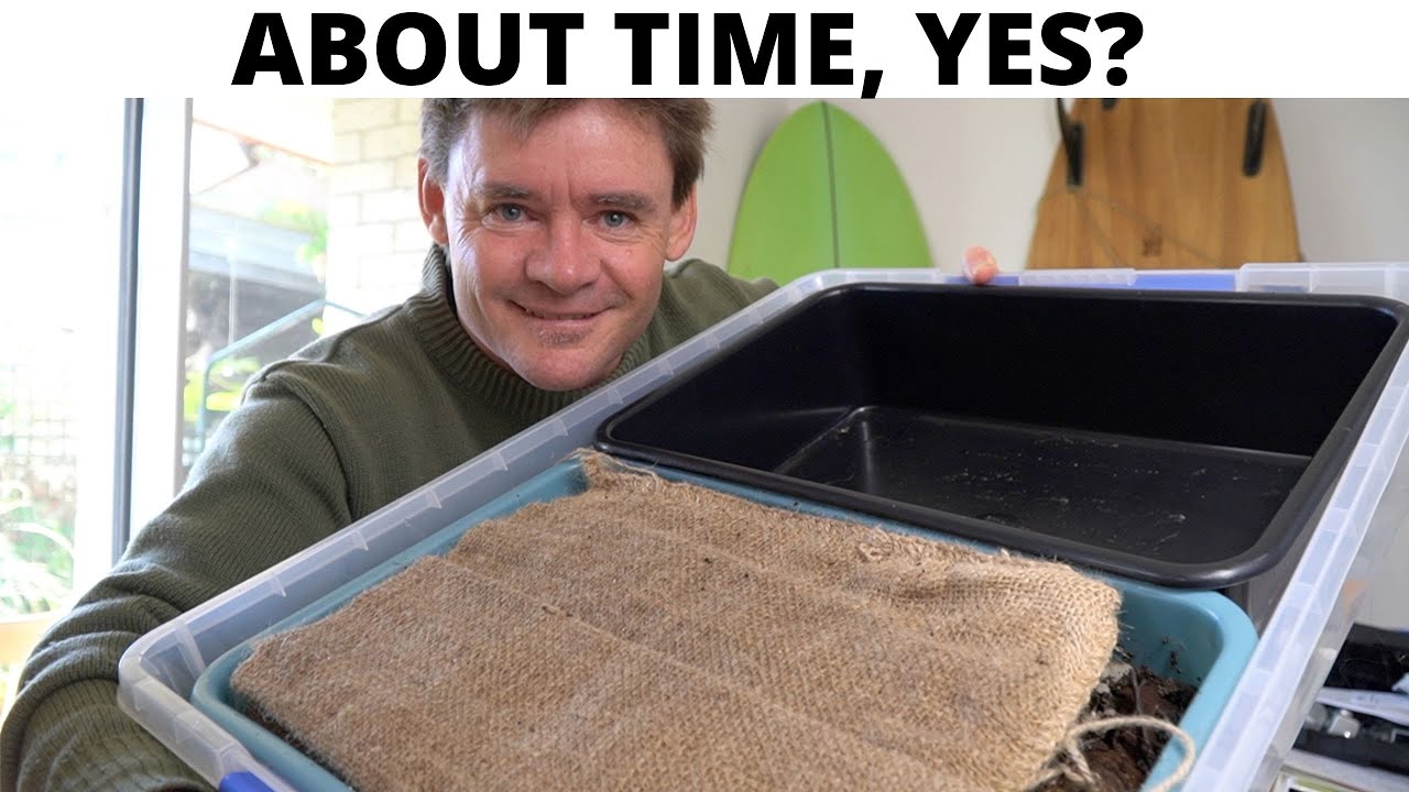 New Tray Worm Farm Set Up Indoors VIDEO 1