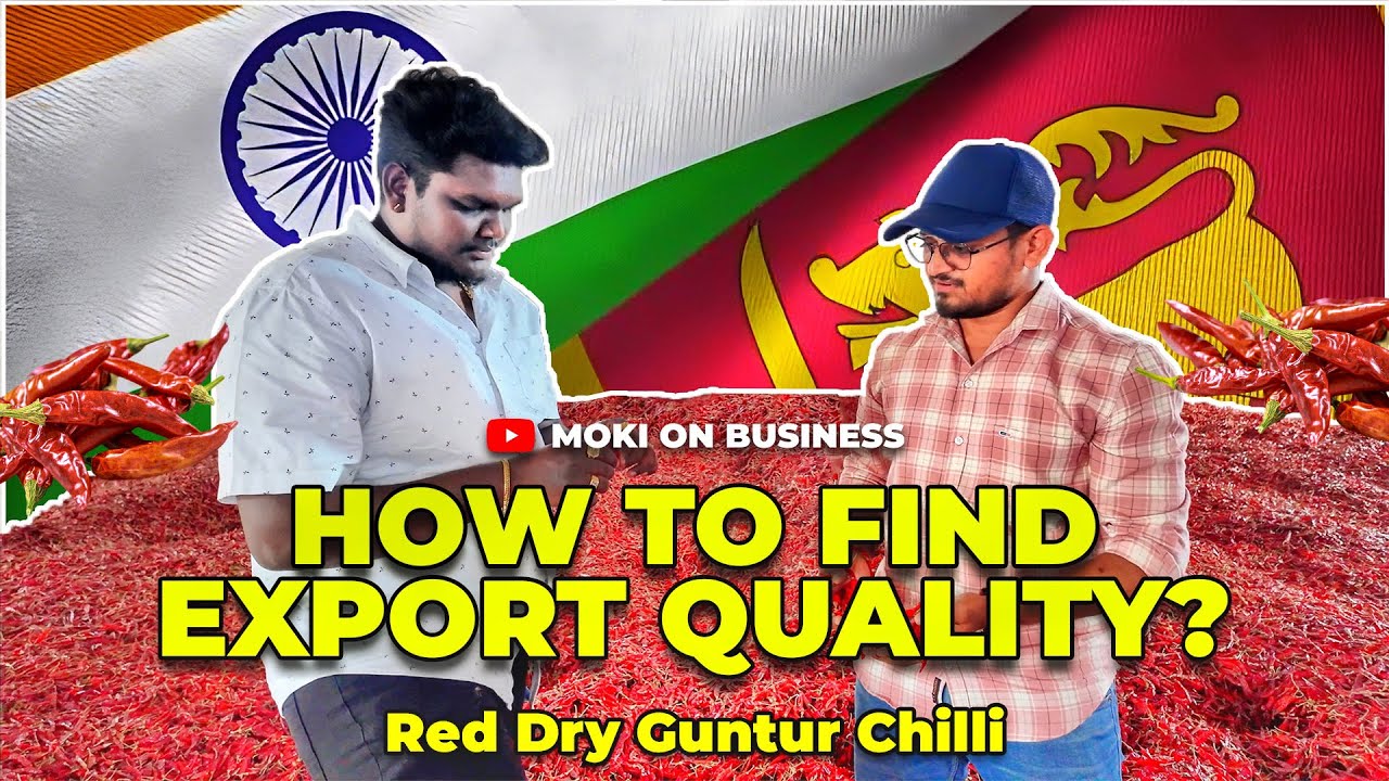 How to find EXPORT quality? - Dry Red Guntur Chilli | Moki on Business #export #chilli